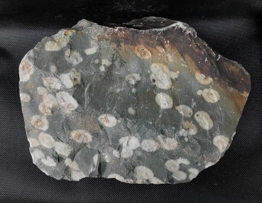 Green Plum Jasper